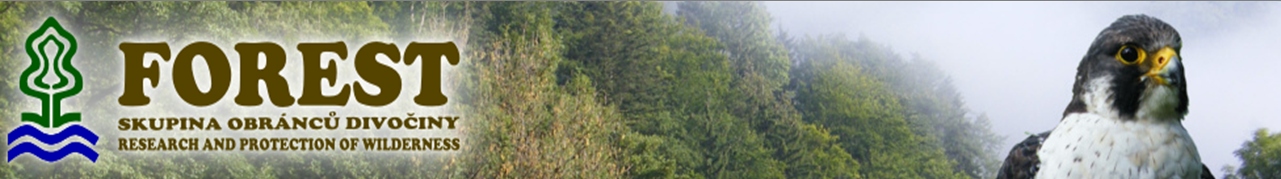 banner_forest_01.png